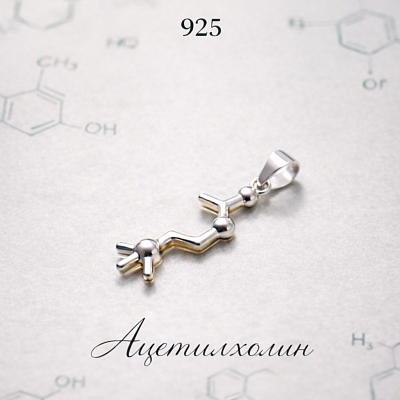 Кулон Ацетилхолин C7H16NO2  1.28 г. 25х10 мм (серебро 925)